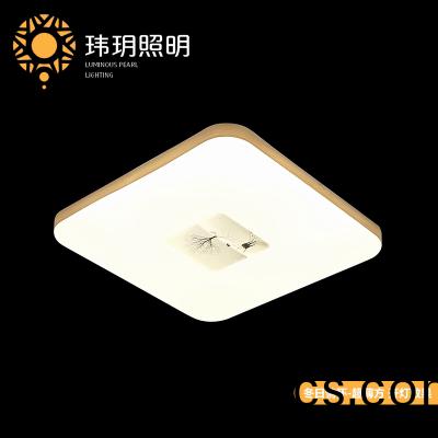 艺术(shu)现代吸(xi)顶(ding)灯