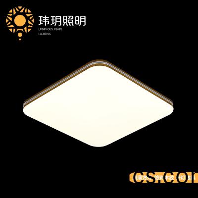 方形(xing)吸(xi)顶灯