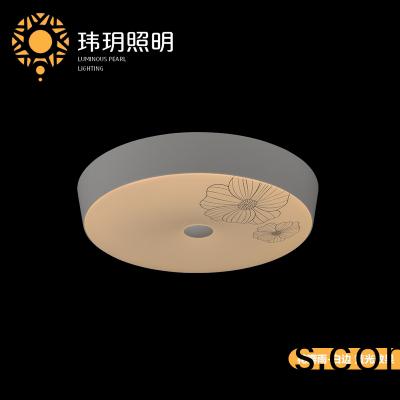 室内吸(xi)顶灯(deng)